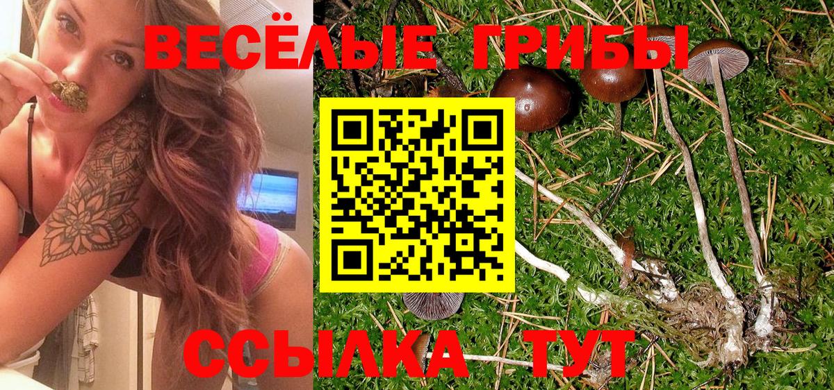 Галлюциногенные грибы мицелий  Галлюциногенные грибы прущие грибы  Приморско-Ахтарск  Вход с VPN 